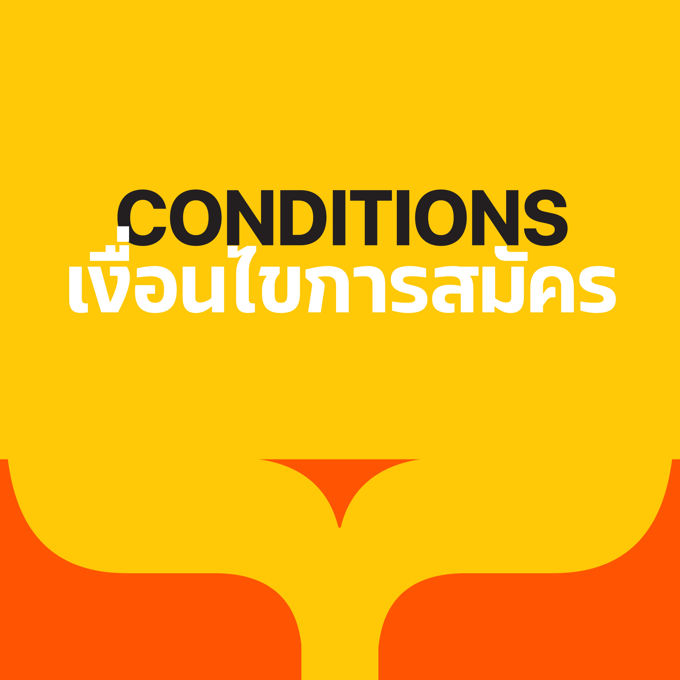 conditions-bunka-2024